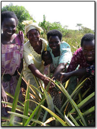 Namatumba women